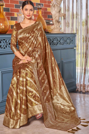 Bronze Brown Woven Shimmer Silk Saree