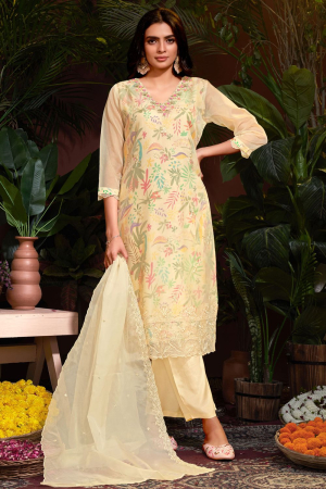 Cream Embroidered Organza Readymade Pant Kameez
